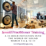 Sound Practitioner Training